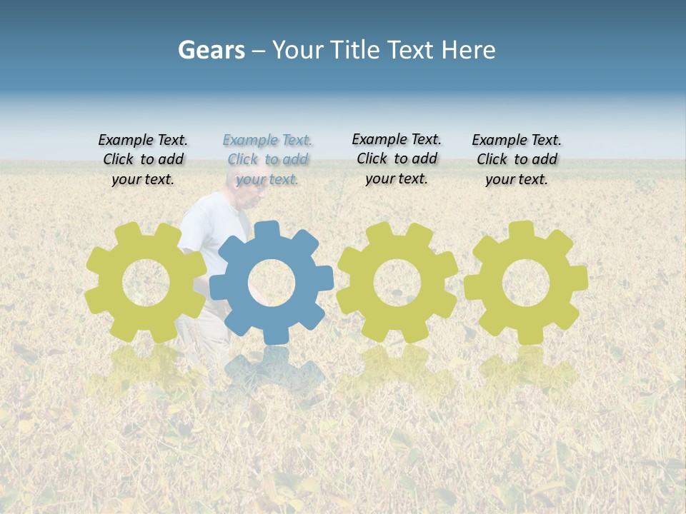 Donut Thin Resolution PowerPoint Template