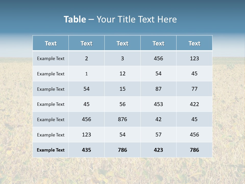 Donut Thin Resolution PowerPoint Template