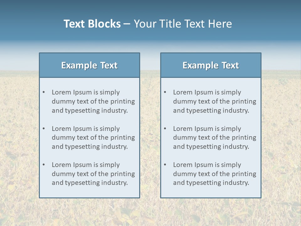 Donut Thin Resolution PowerPoint Template