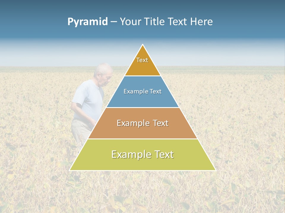 Donut Thin Resolution PowerPoint Template