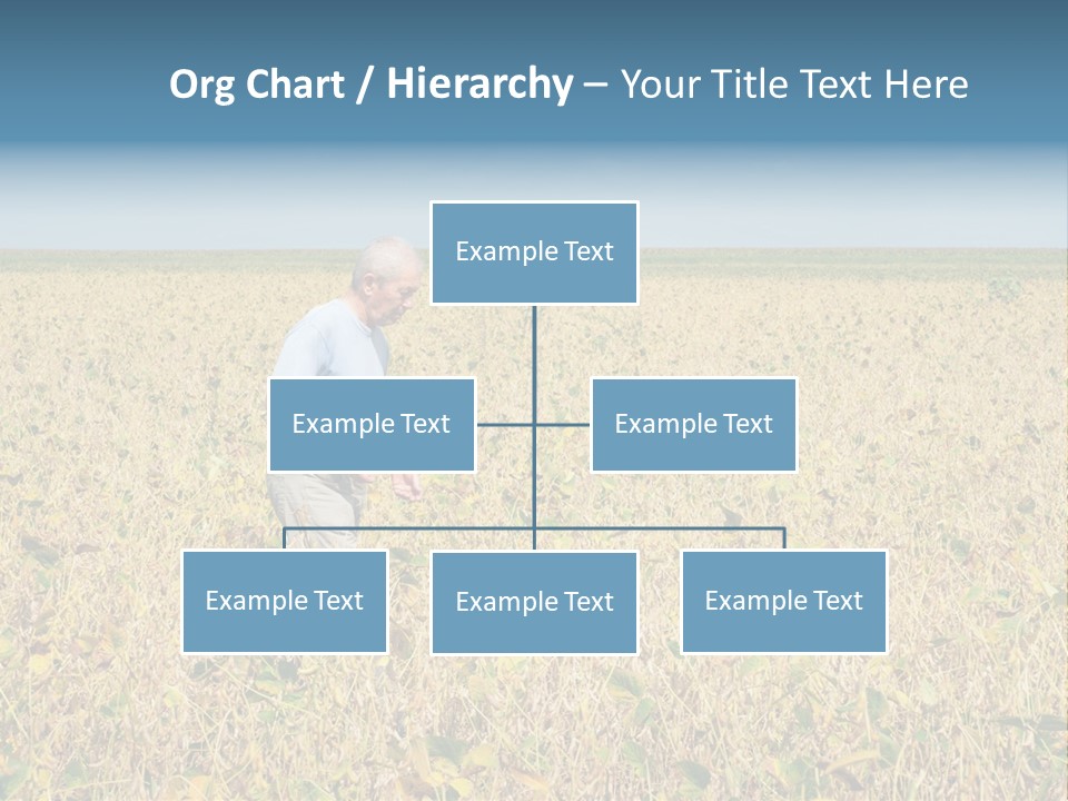 Donut Thin Resolution PowerPoint Template