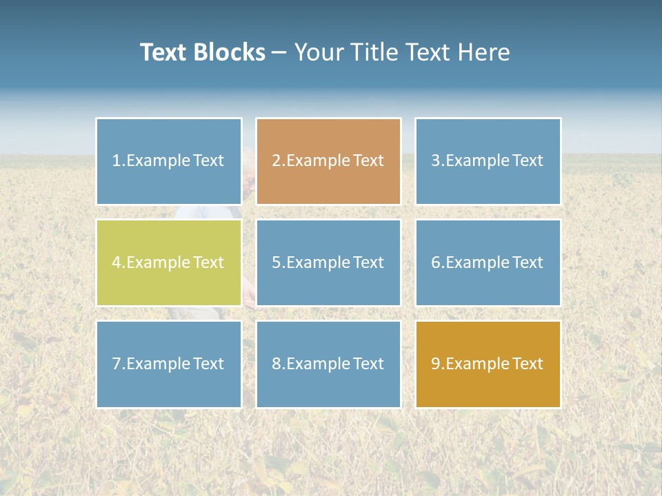 Donut Thin Resolution PowerPoint Template