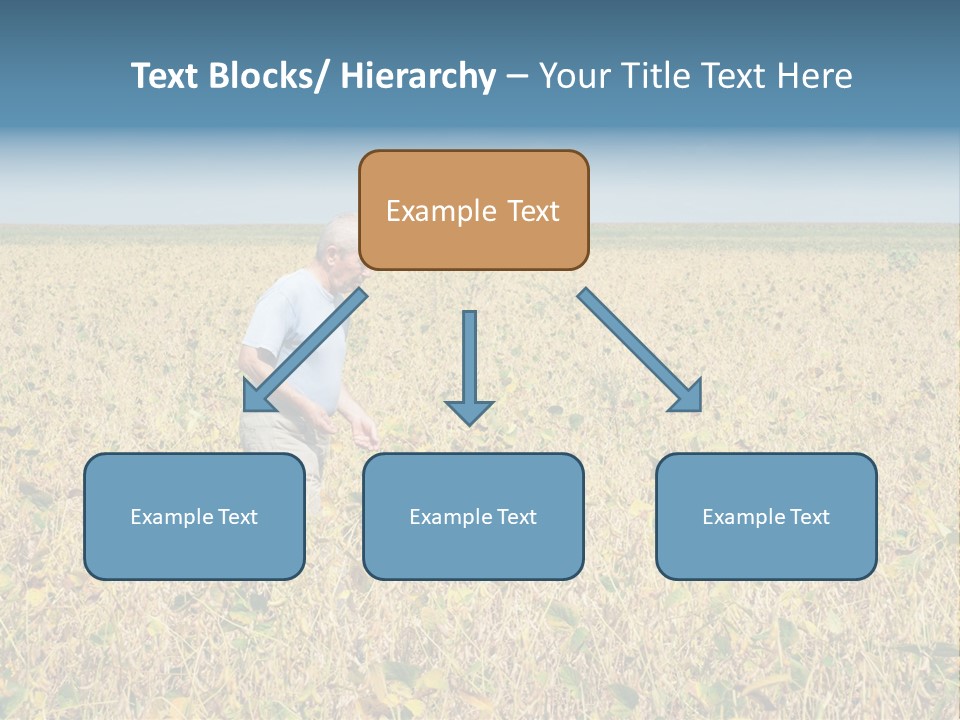 Donut Thin Resolution PowerPoint Template