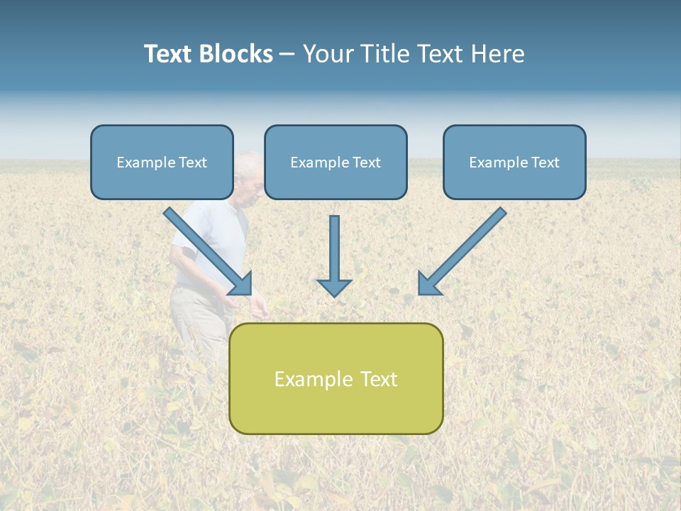 Donut Thin Resolution PowerPoint Template