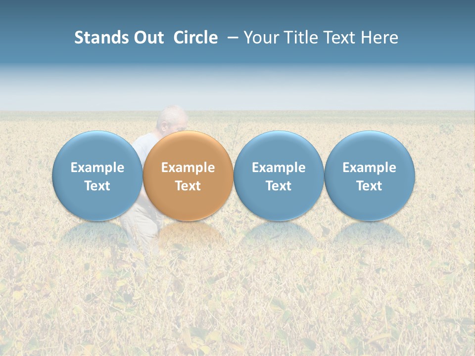 Donut Thin Resolution PowerPoint Template