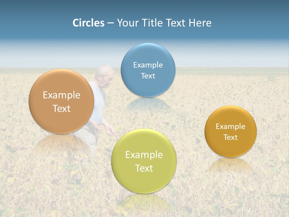Donut Thin Resolution PowerPoint Template