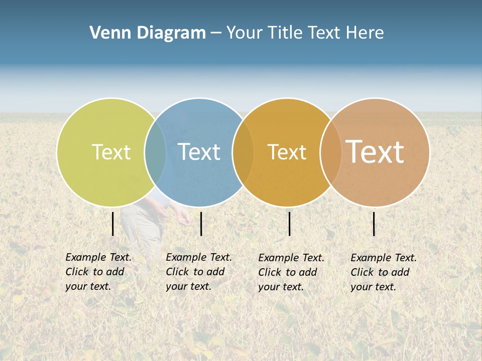 Donut Thin Resolution PowerPoint Template