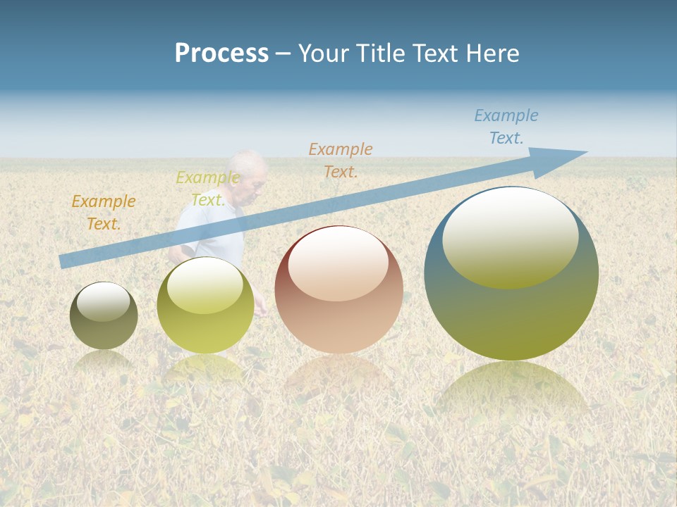 Donut Thin Resolution PowerPoint Template