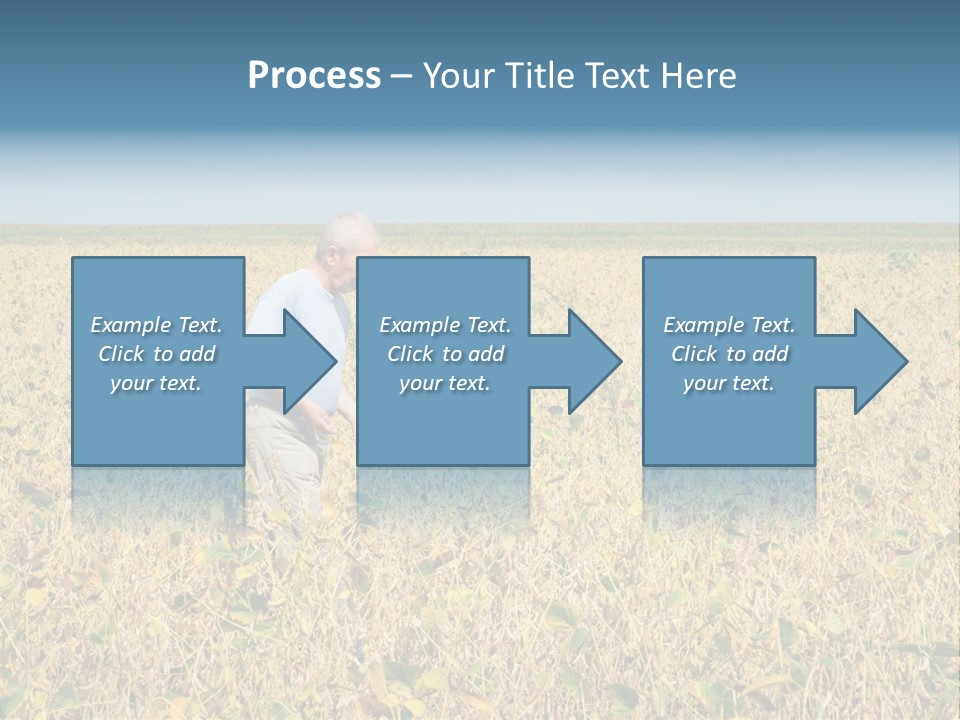 Donut Thin Resolution PowerPoint Template