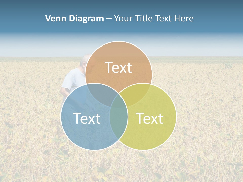 Donut Thin Resolution PowerPoint Template