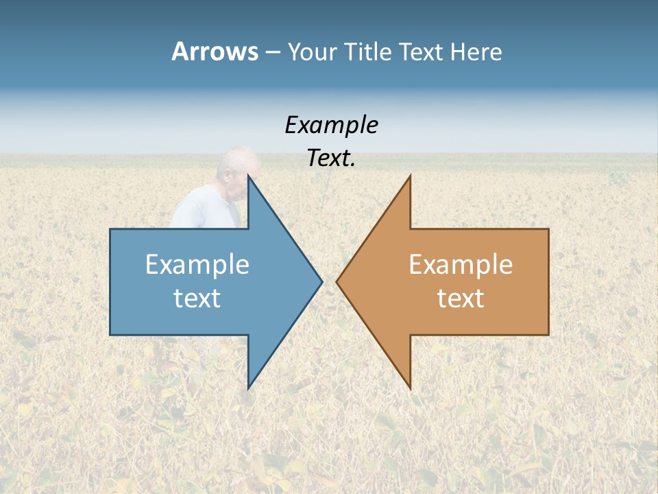 Donut Thin Resolution PowerPoint Template