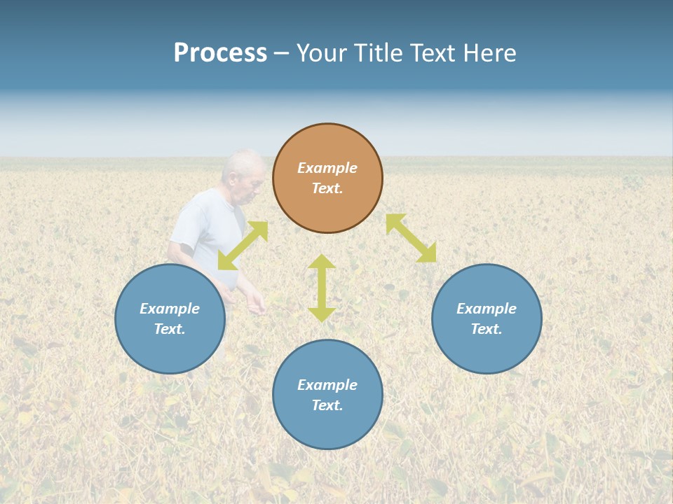Donut Thin Resolution PowerPoint Template
