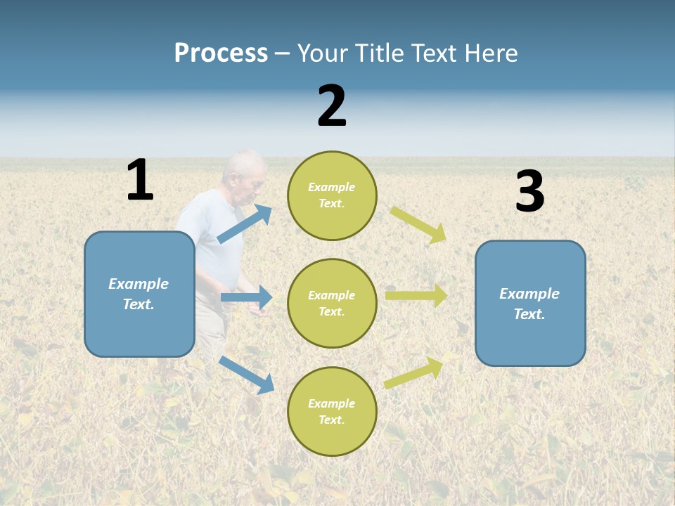 Donut Thin Resolution PowerPoint Template