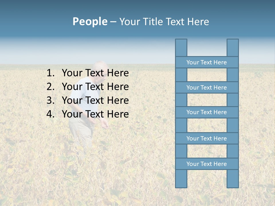 Donut Thin Resolution PowerPoint Template