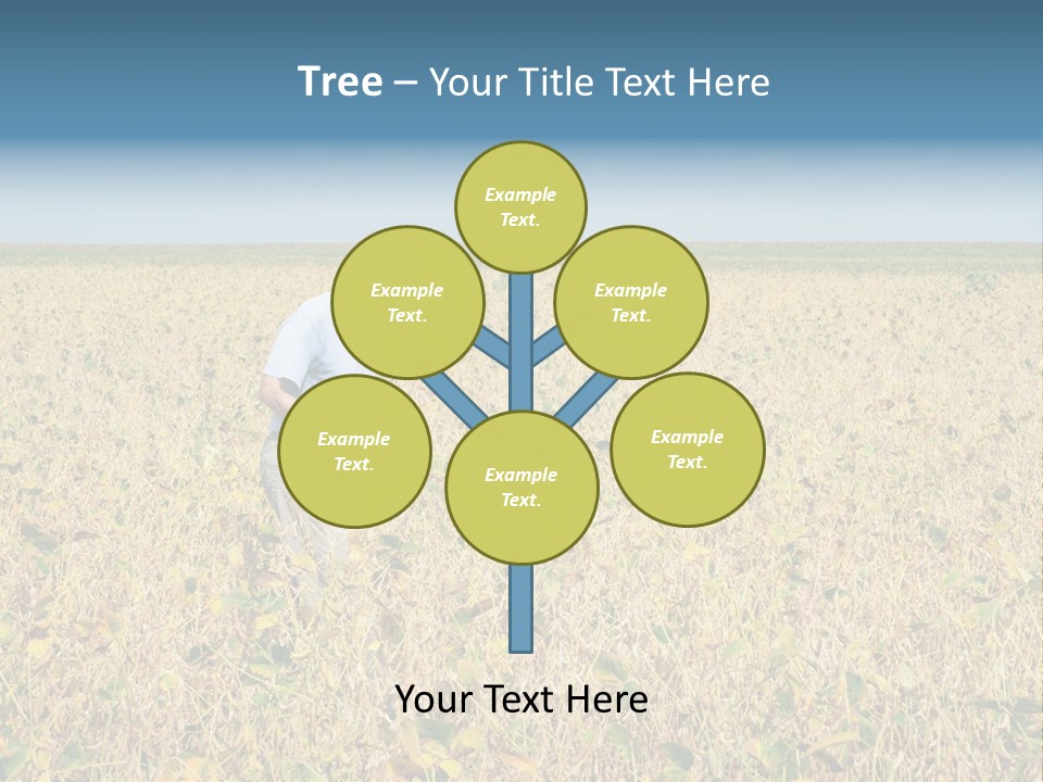 Donut Thin Resolution PowerPoint Template