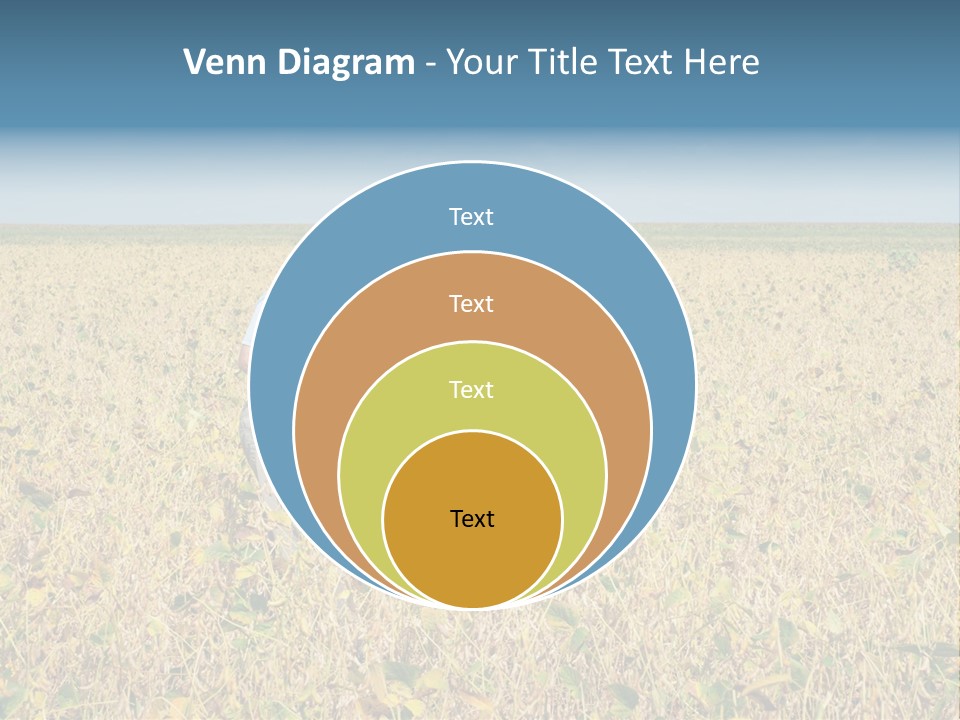 Donut Thin Resolution PowerPoint Template