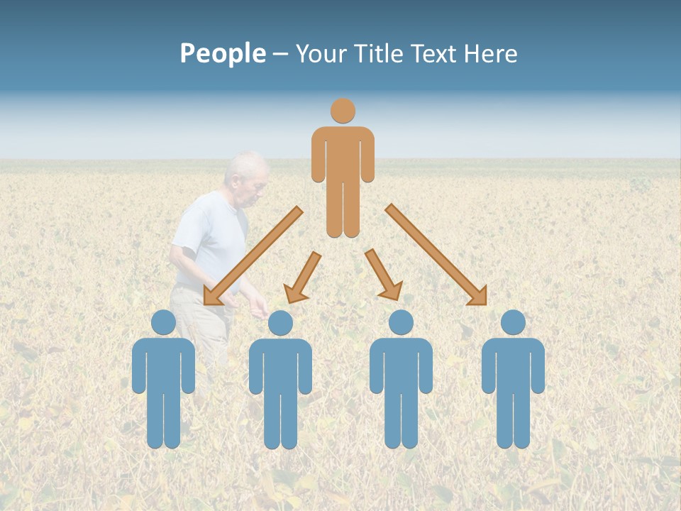 Donut Thin Resolution PowerPoint Template