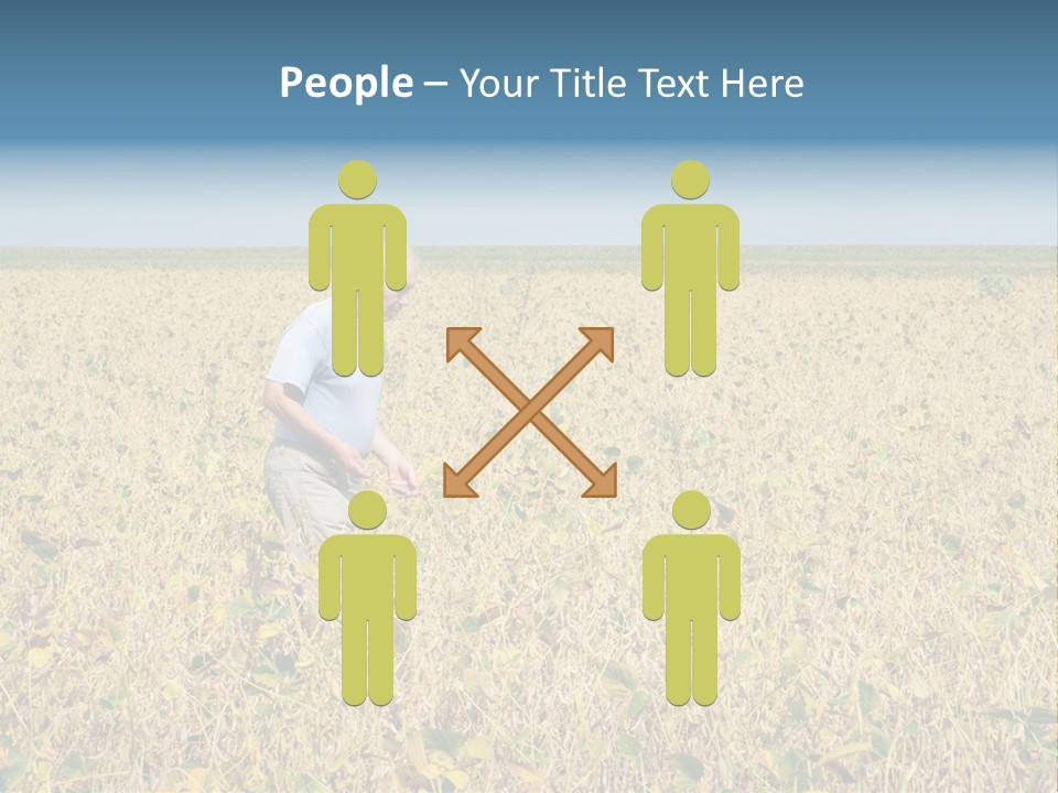 Donut Thin Resolution PowerPoint Template