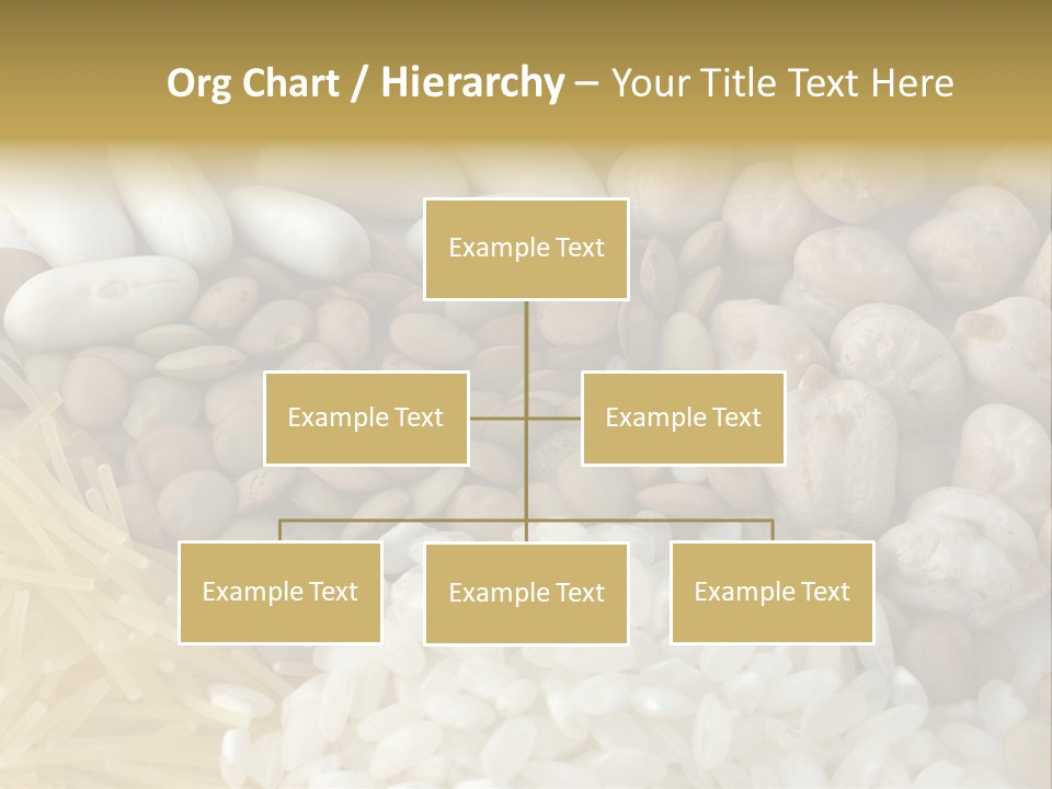 Food Habit Diet PowerPoint Template
