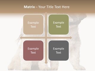 Gain Unhealthy Lose PowerPoint Template