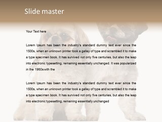 Gain Unhealthy Lose PowerPoint Template