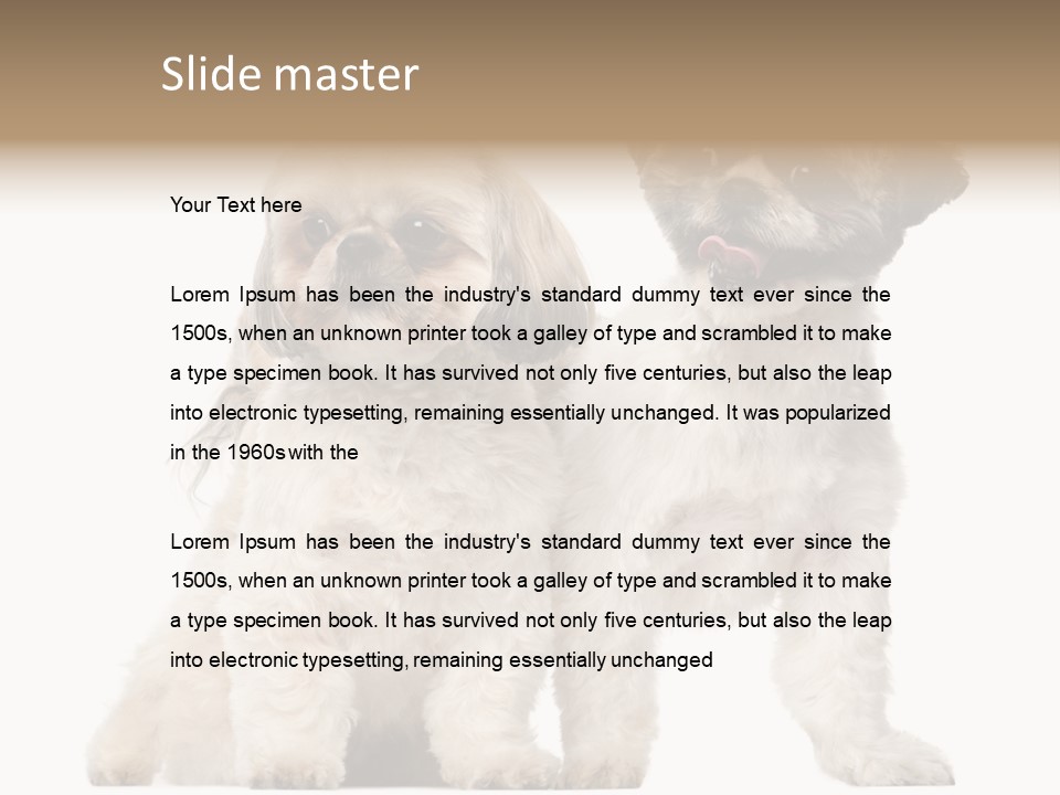 Gain Unhealthy Lose PowerPoint Template