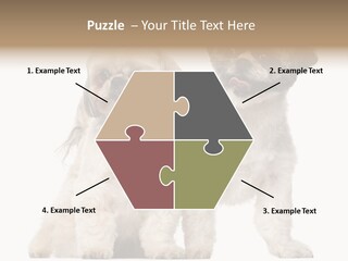 Gain Unhealthy Lose PowerPoint Template