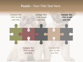 Gain Unhealthy Lose PowerPoint Template