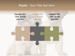 Gain Unhealthy Lose PowerPoint Template