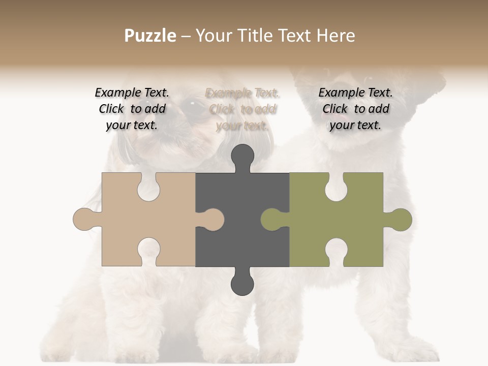 Gain Unhealthy Lose PowerPoint Template