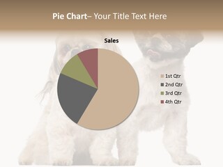 Gain Unhealthy Lose PowerPoint Template