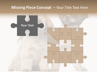 Gain Unhealthy Lose PowerPoint Template