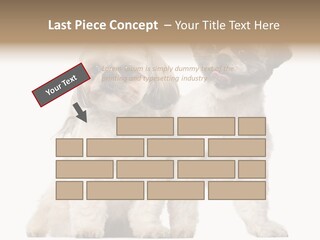 Gain Unhealthy Lose PowerPoint Template