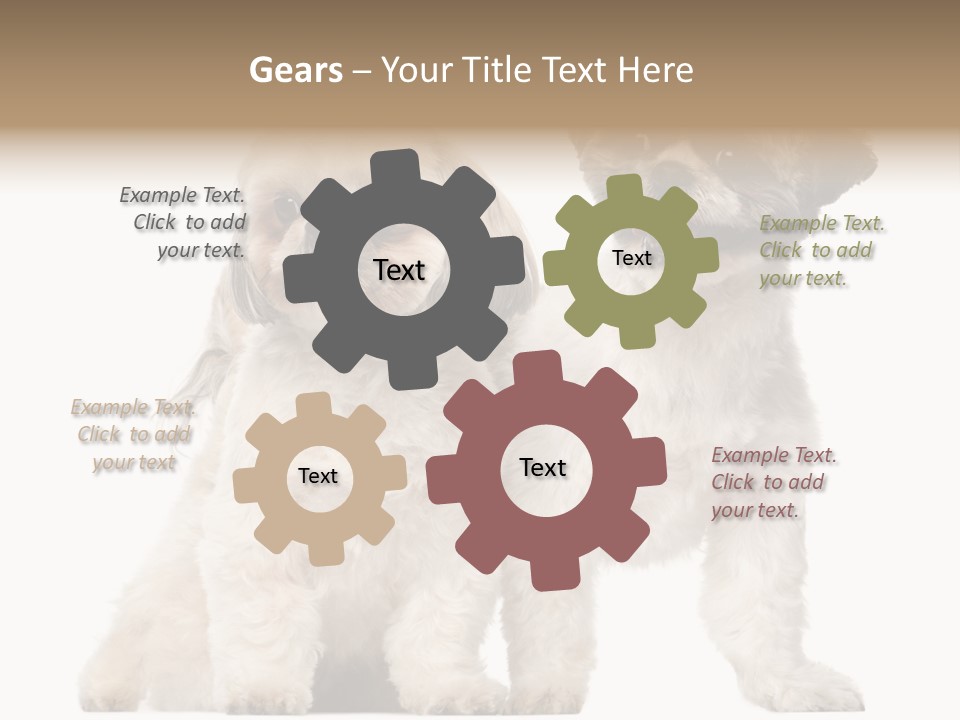 Gain Unhealthy Lose PowerPoint Template