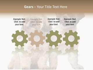 Gain Unhealthy Lose PowerPoint Template