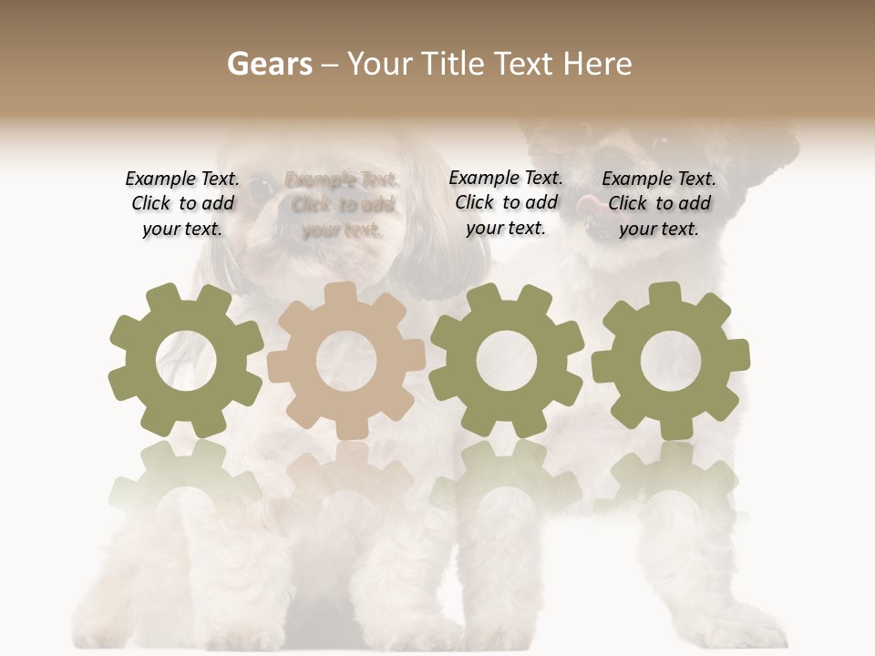 Gain Unhealthy Lose PowerPoint Template