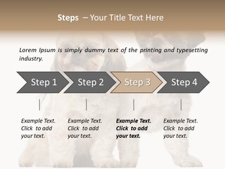 Gain Unhealthy Lose PowerPoint Template