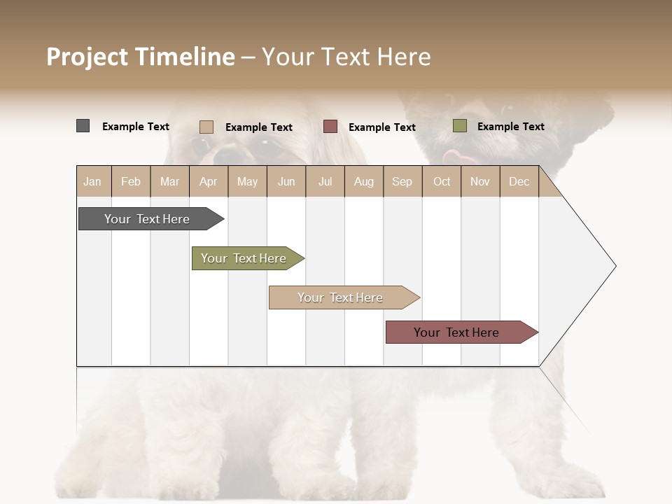 Gain Unhealthy Lose PowerPoint Template