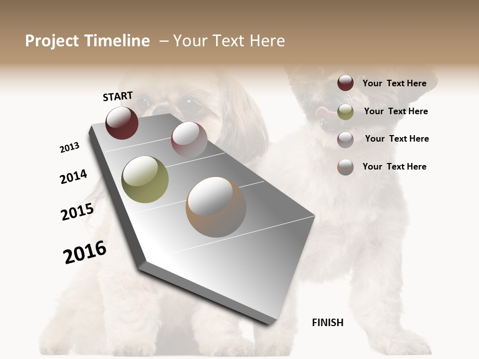 Gain Unhealthy Lose PowerPoint Template