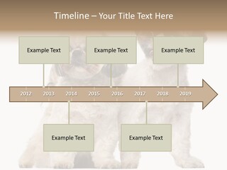 Gain Unhealthy Lose PowerPoint Template