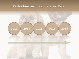 Gain Unhealthy Lose PowerPoint Template