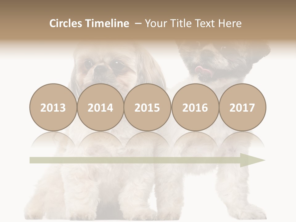 Gain Unhealthy Lose PowerPoint Template