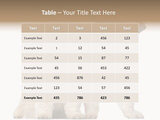 Gain Unhealthy Lose PowerPoint Template