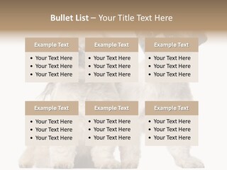 Gain Unhealthy Lose PowerPoint Template
