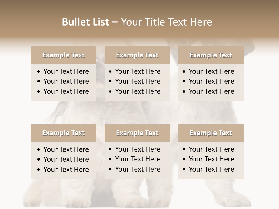 Gain Unhealthy Lose PowerPoint Template