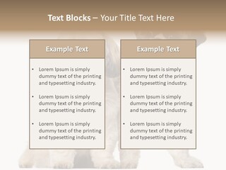 Gain Unhealthy Lose PowerPoint Template