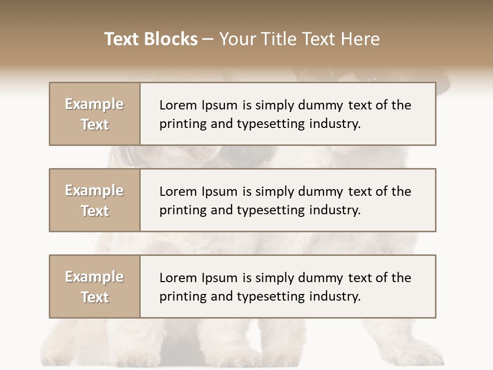 Gain Unhealthy Lose PowerPoint Template