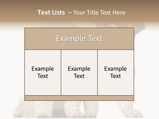 Gain Unhealthy Lose PowerPoint Template