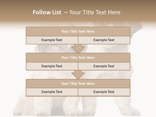 Gain Unhealthy Lose PowerPoint Template