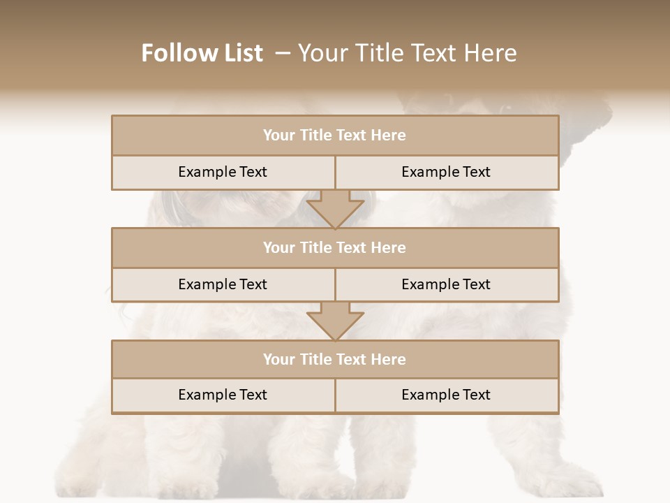 Gain Unhealthy Lose PowerPoint Template